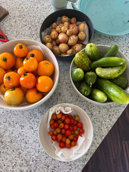 Gardening for Beginners- What I Wish I Knew Before Starting Gardening